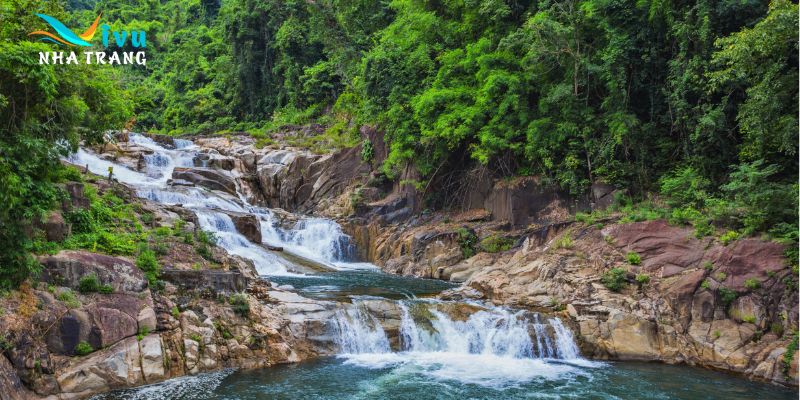 Lý do nên tham gia tour Yang Bay